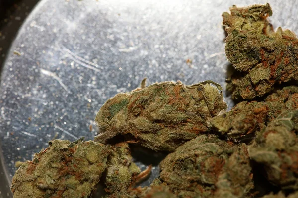 Cannabis bud medical strawberry haze macro background high quali — Stock Photo, Image