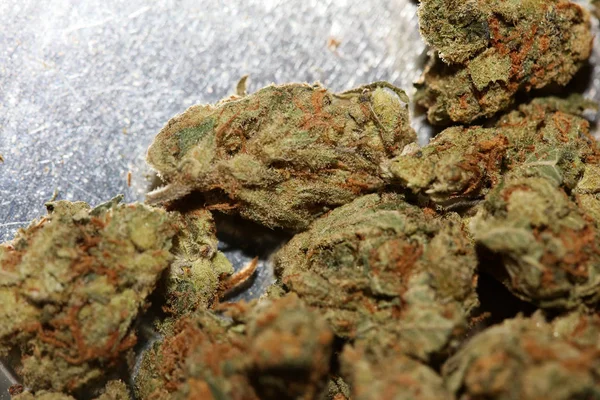 Cannabis pąk medyczny truskawka mgła makro tło wysokie kwalifikacje — Zdjęcie stockowe