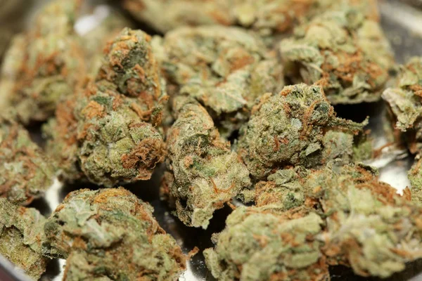 Cannabis knopp medicinsk jordgubbe dimma makro bakgrund hög kvalitet — Stockfoto