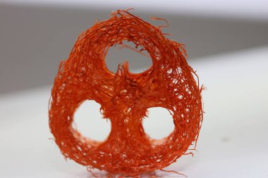 Çiçek açan potpuri soyut makro arka plan 50 megapiks