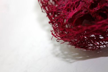 Çiçek açan potpuri soyut makro arka plan 50 megapiks