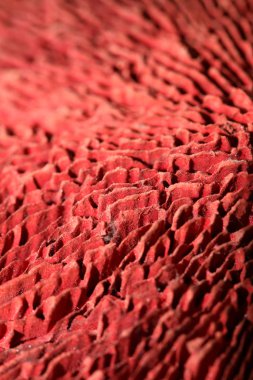 Kurutulmuş mantar potpuri kabı soyut 50 megapiksel yakın 