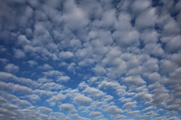 Sky with bubble clouds background high quality prints — Stock Photo, Image