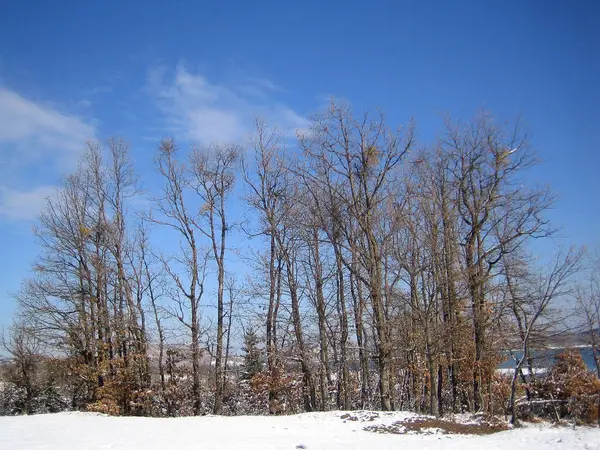 Lago Plastira, Grecia, sábado 25 enero 2020 invierno con nieve —  Fotos de Stock