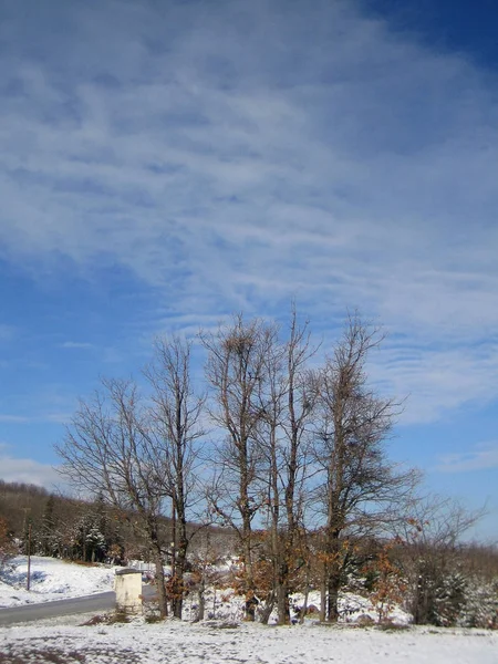 Plastira lake, Greece, Saturday 25 January 2020 winter with snow — Stock Photo, Image