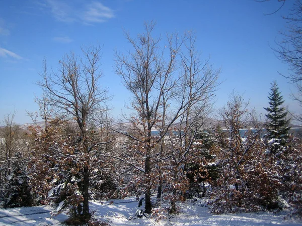 Plastira lake, Greece, Saturday 25 January 2020 winter with snow — Stock Photo, Image