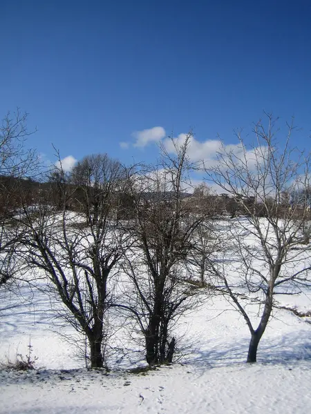 Plastira lake, Greece, Saturday 25 January 2020 winter with snow — Stock Photo, Image