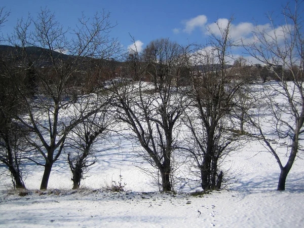 Plastira sjö, Grekland, lördag 25 januari 2020 vinter med snö — Stockfoto