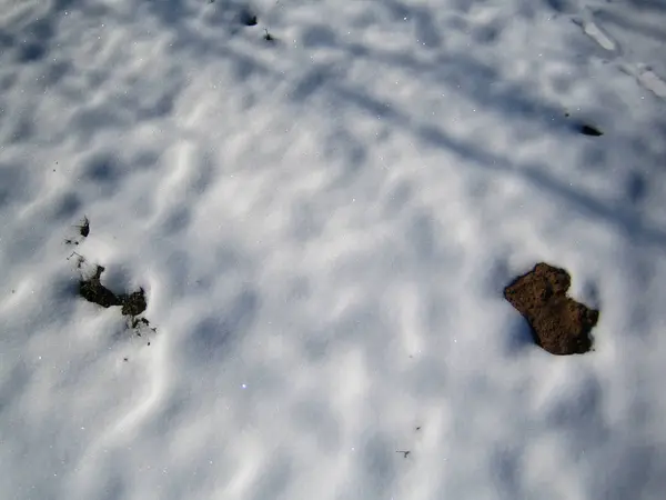 Plastira lago, Grécia, sábado 25 janeiro 2020 inverno com neve — Fotografia de Stock