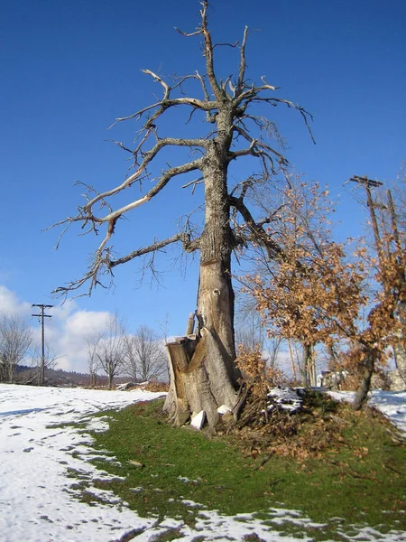 Plastira see, griechenland, samstag 25 januar 2020 winter with snow — Stockfoto