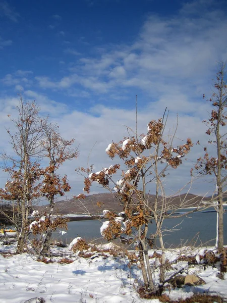 Plastira lago, Grécia, sábado 25 janeiro 2020 inverno com neve — Fotografia de Stock