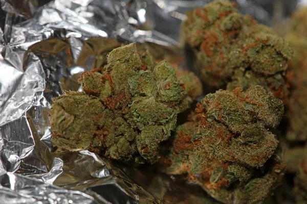 Cannabis medizinische amg skunk makro hintergrund stock photography pr — Stockfoto