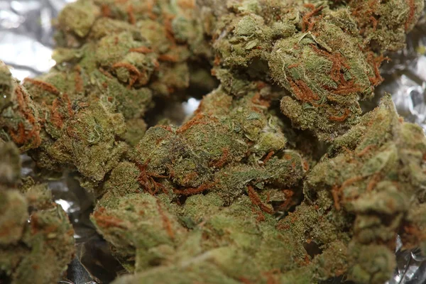 Cannabis orvosi Amg borz makró háttér stock fotózás pr — Stock Fotó