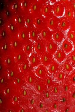 Çilekli makro fon modern yüksek kaliteli baskılar