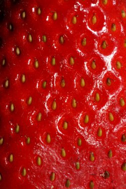 Çilekli makro fon modern yüksek kaliteli baskılar