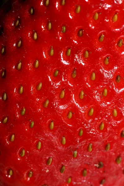 Çilekli makro fon modern yüksek kaliteli baskılar