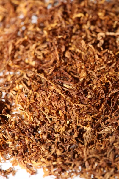 Rolling tabaco hojas macro fondo cincuenta megapíxeles impresiones — Foto de Stock