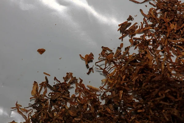 Rolamento de tabaco folhas macro fundo cinquenta megapixels impressões — Fotografia de Stock