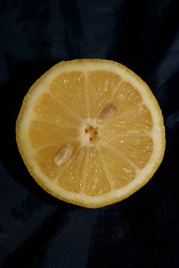 Limonlu meyve kesim merkezi. Arka plan yüksek kalite.