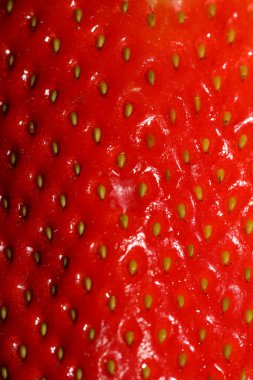 Çilek Meyve Merkezi arka planı yüksek kalitede kapatın