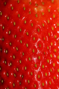 Çilek Meyve Merkezi arka planı yüksek kalitede kapatın