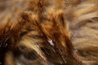Yapay kahverengi ceket saçı makro arkaplan stok fotoğrafı yüksek kalite