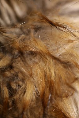 Yapay kahverengi ceket saçı makro arkaplan stok fotoğrafı yüksek kalite