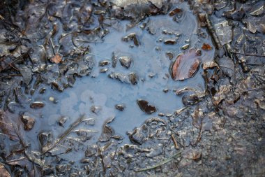 Kirli zemin üzerinde su yansıması makro arkaplan stok fotoğrafçılığı yüksek kaliteli