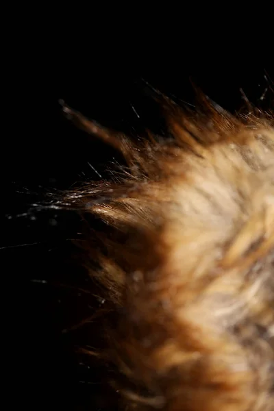 Pelos Chaqueta Marrón Artificial Macro Fondo Stock Fotografía Alta Calidad —  Fotos de Stock