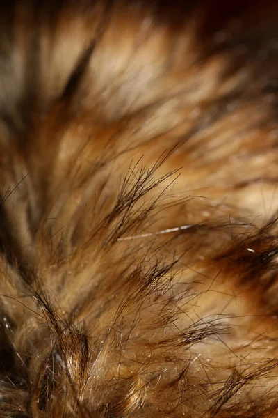 Искусственный Коричневый Пиджак Волосы Макрофоном Фоновая Фотография Высокого Качества — стоковое фото