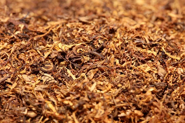 Rolling tobacco leaves macro background stock photography high quality