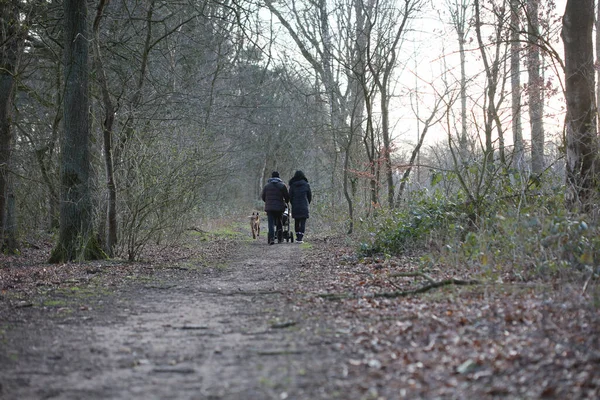 Dorsten Alemania Lunes Febrero 2020 Personas Fondo Carretera — Foto de Stock