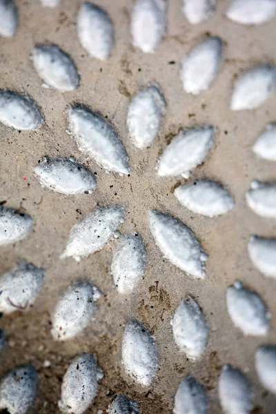 Klei Witte Pot Met Bloem Decoratie Macro Achtergrond Hoge Kwaliteit — Stockfoto