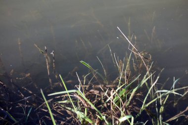 Su dalgalarındaki güneş yansıması ışığı makro arka plan yüksek kaliteli modern baskılar