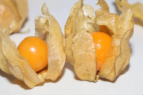 Physalis Obst Makro Hintergrund Hochwertige Moderne Drucke Solanaceae Familie — Stockfoto