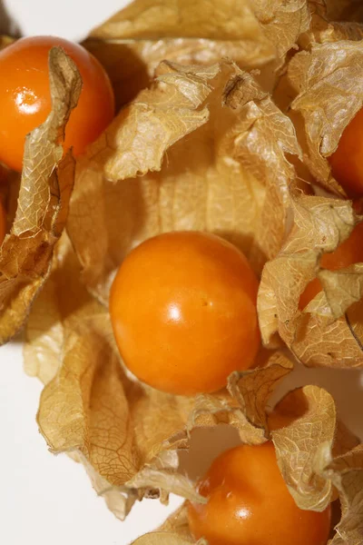 Physalis Fruit Macro Background High Quality Modern Prints Solanaceae Family — Stock Photo, Image