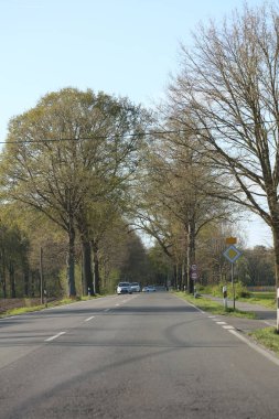Dorsten 'dan Haltern' e giderken Kuzey Almanya 'nın arka plan izlerini gördüm.