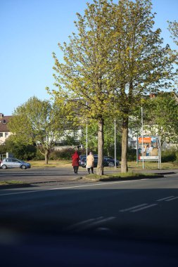 Dorsten 'dan Haltern' e giderken Kuzey Almanya 'nın arka plan izlerini gördüm.