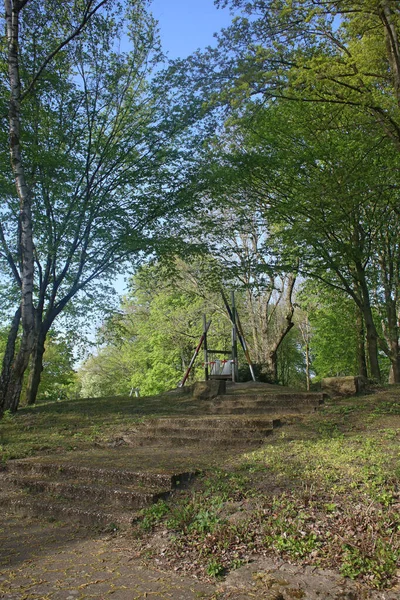 Dorsten Cidade Vistas Norte Alemanha Viagem Fundo Alta Qualidade Impressões — Fotografia de Stock