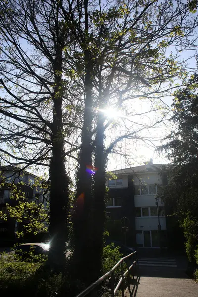 Dorsten Şehir Binalarının Mimarisi Kuzey Almanya Seyahat Arka Planında Yüksek — Stok fotoğraf