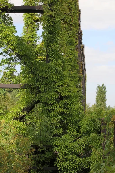 Abandonado Industrial Antiga Fábrica Área Landschaftpark Duisburg Nord Impressão Fundo — Fotografia de Stock