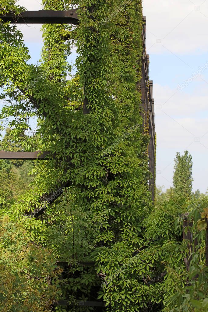 Abandoned industrial old factory area landschaftpark Duisburg nord high quality background print