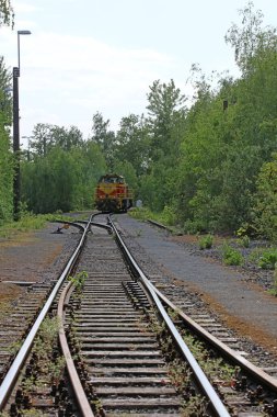 Duisburg, Almanya, 15 Mayıs 2020 Manzara Parkı 'nı keşfediyor.