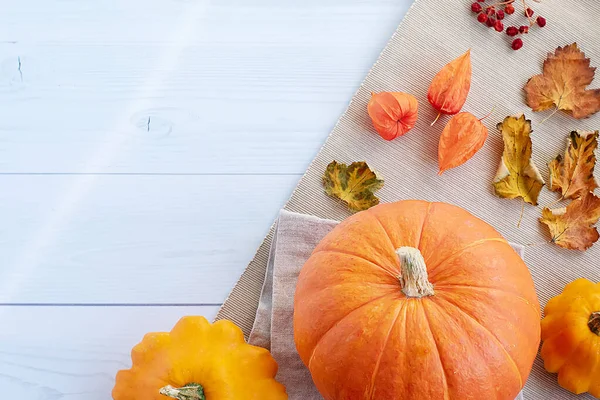 明亮的秋天背景。 橙色南瓜，南瓜，秋天的叶子，植物，平坦的土地，感恩的概念的顶部视图 — 图库照片