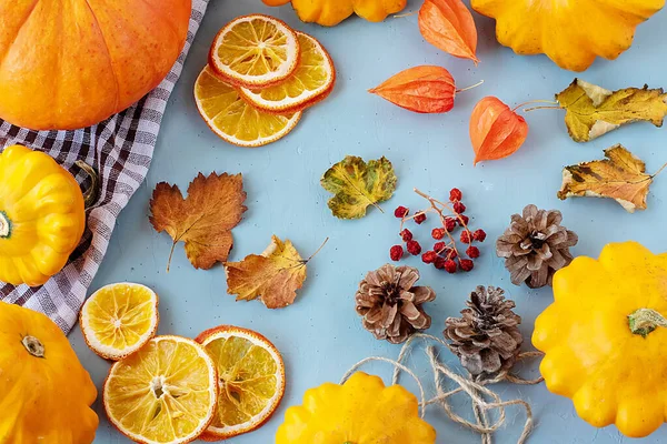 Jasne jesienne tło. Widok z góry na biały i brązowy sprawdzone ręcznik kuchenny, dynia pomarańczowa, żółty squash, jesienne liście, physalis, szyszki, suszone plasterki pomarańczy, płaskie układanki, koncepcja dziękczynienia — Zdjęcie stockowe