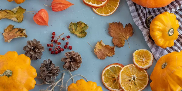 明亮的秋天背景。 白色和棕色格子厨房毛巾，橙色南瓜，黄色南瓜，秋天叶子，植物，球果，干橙片，扁平，感恩的概念的顶部视图 — 图库照片