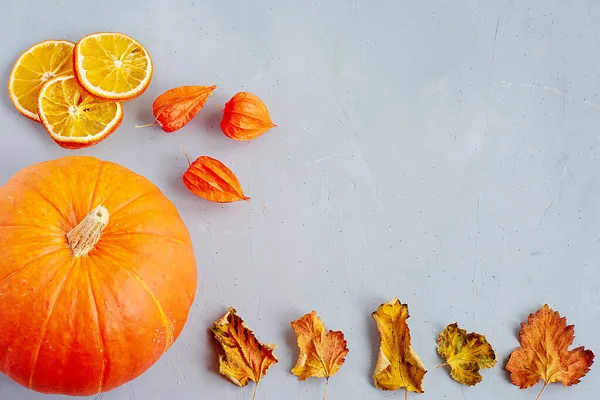 明亮的秋天背景。 橙色南瓜,秋天的叶子,植物,橙片,扁平,感恩概念的顶部视图 — 图库照片