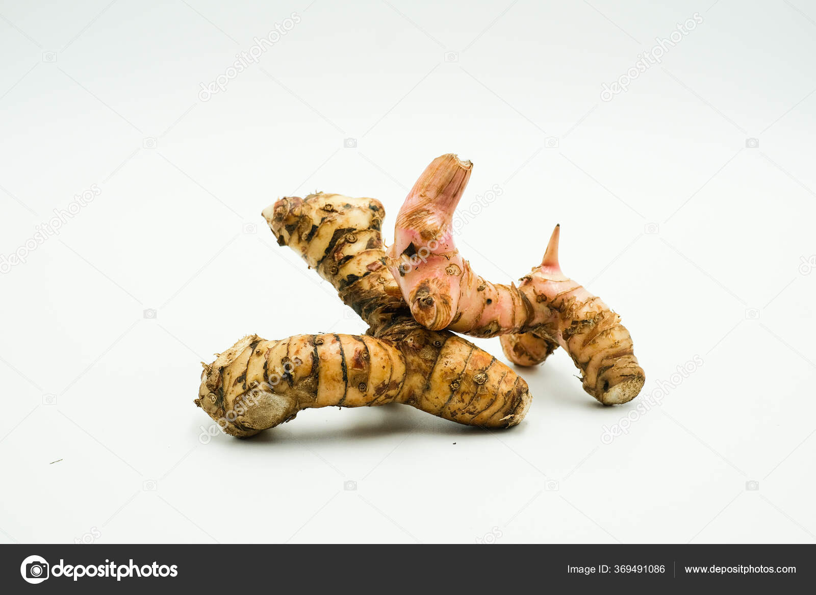 Lengkuas Alpinia Galanga East Asian Cuisines Shots Isolated White Background Stock Photo Image By C Mkqayyum Gmail Com
