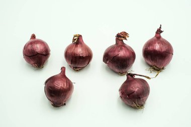 Kırmızı soğan ya da Allium cepa, izole edilmiş beyaz arka planda çekim.