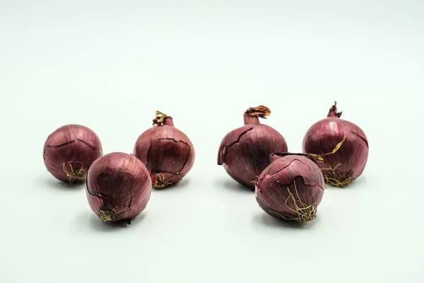 Cebolla Roja Allium Cepa Disparos Sobre Fondo Blanco Aislado —  Fotos de Stock